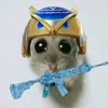 shifuimmortal