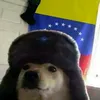 elchano911