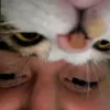 deleosvlogs