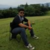 beruang_alaska
