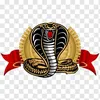 manhsnake