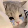 anhnguyet_8a