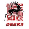 NanjingDeers