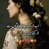 hafeez123453