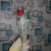 ell_ell22