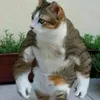 maksim_06_