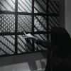 xineml