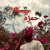 hamza_shah_826