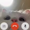 xkot_lecikx