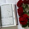 ummuhammad251