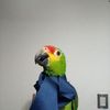 armandolopezamador