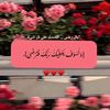 aml.amr647