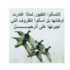 alktaloni_2