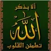 dy9xidrovaxr