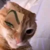 costazjf1