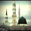 fatima_gull111