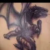 inmortalis89