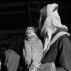ii_2633