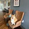 furbabymama86