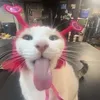 debiii__