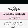 shahfaraz124
