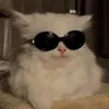zofialoui18