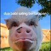 dhoo_fd