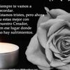 carmen_ap_