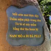 tuandb33