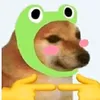 ngthienloc111