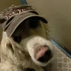 kuksixxx