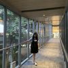 lucy.suwandi