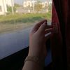 s4tvrneiz_2805