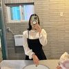 apple_2809