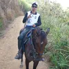pedroguilherme7238