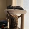 storiesofus06