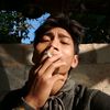 bayu_loss