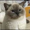 kittipatz99