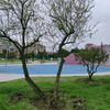 zaqaric