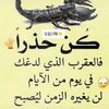 user350655523