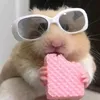 lilput7