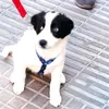 finagonzalezoliva