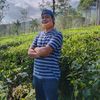 ahmadmufid06