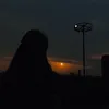 nvarr7