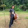 ambon_470