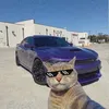suhaiibb77