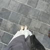 dandeliion__