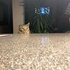beer_cat0