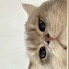 user0346821il