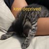 tiredtouch